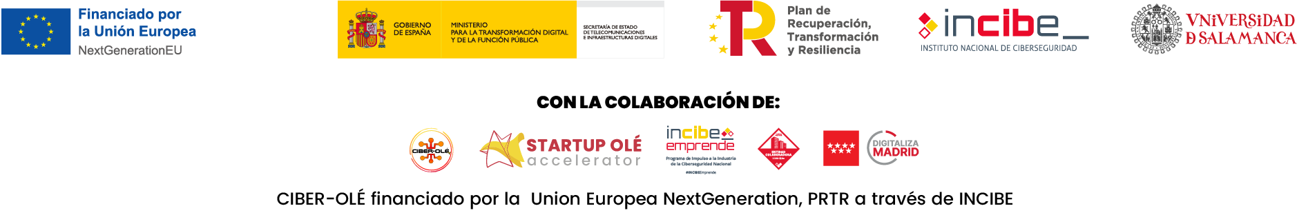 Faldón CIBER-OLE MADRID 26 (español)